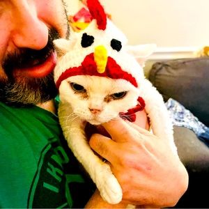 ‼️Its a Bird‼️Its a Plane‼️Its Chicken Kitty‼️Hand Knit Hat for Cats/Dogs